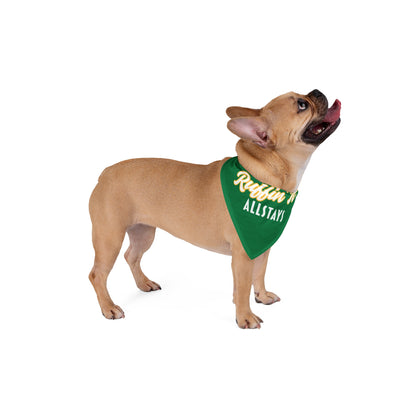 Ruffin' it - Pet Bandana