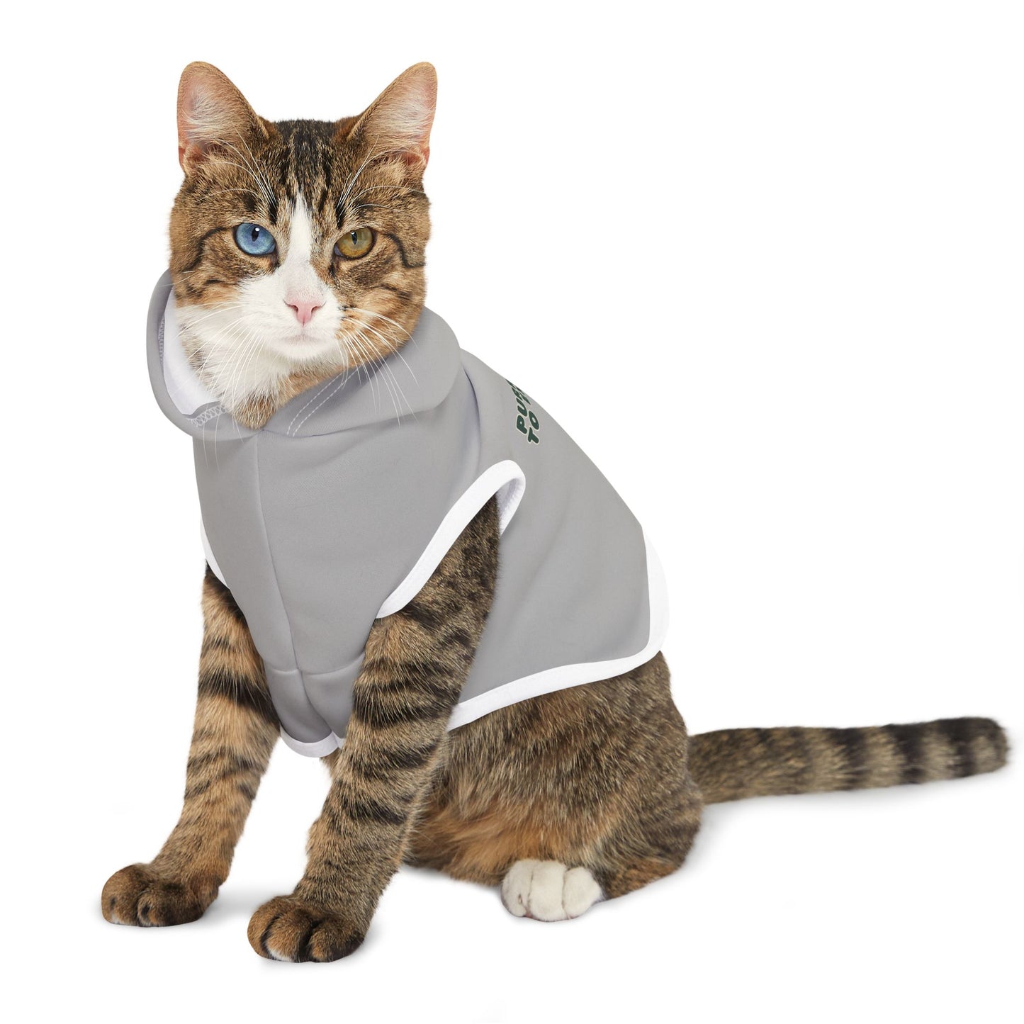 Stylish Cat Hoodie