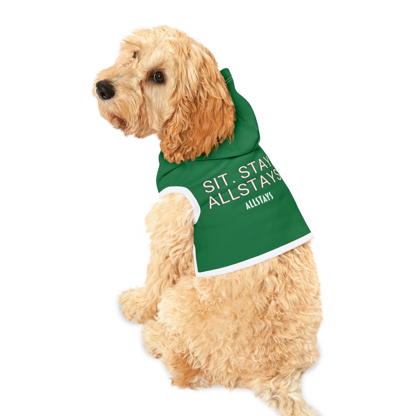 Stylish Dog Hoodie 'Sit. Stay. AllStays'