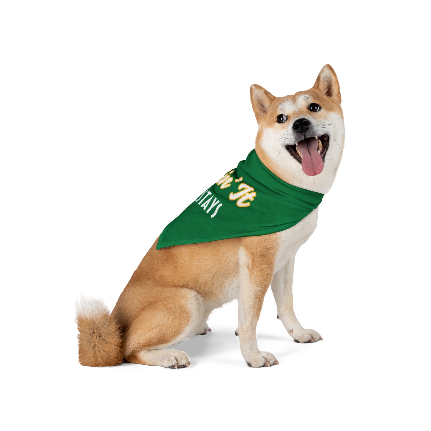 Ruffin' it - Pet Bandana