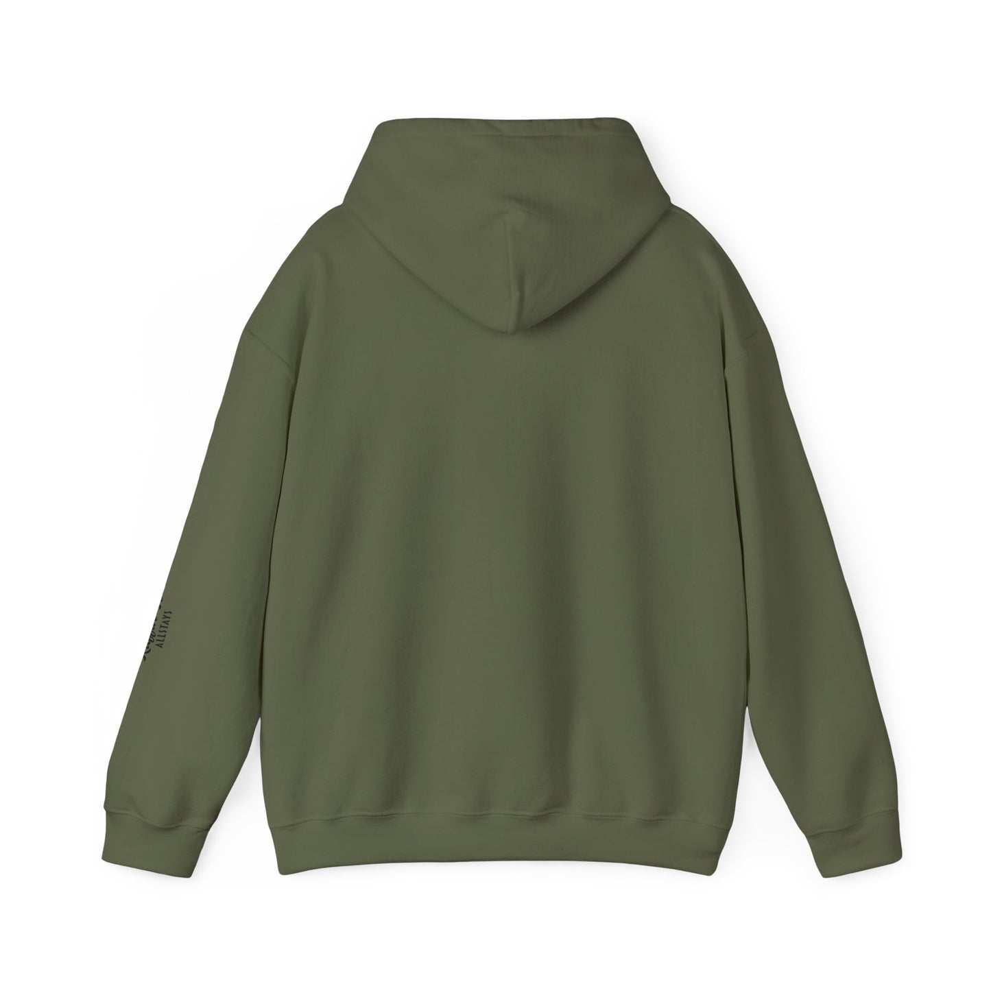 Travel Hoodie - AllStays