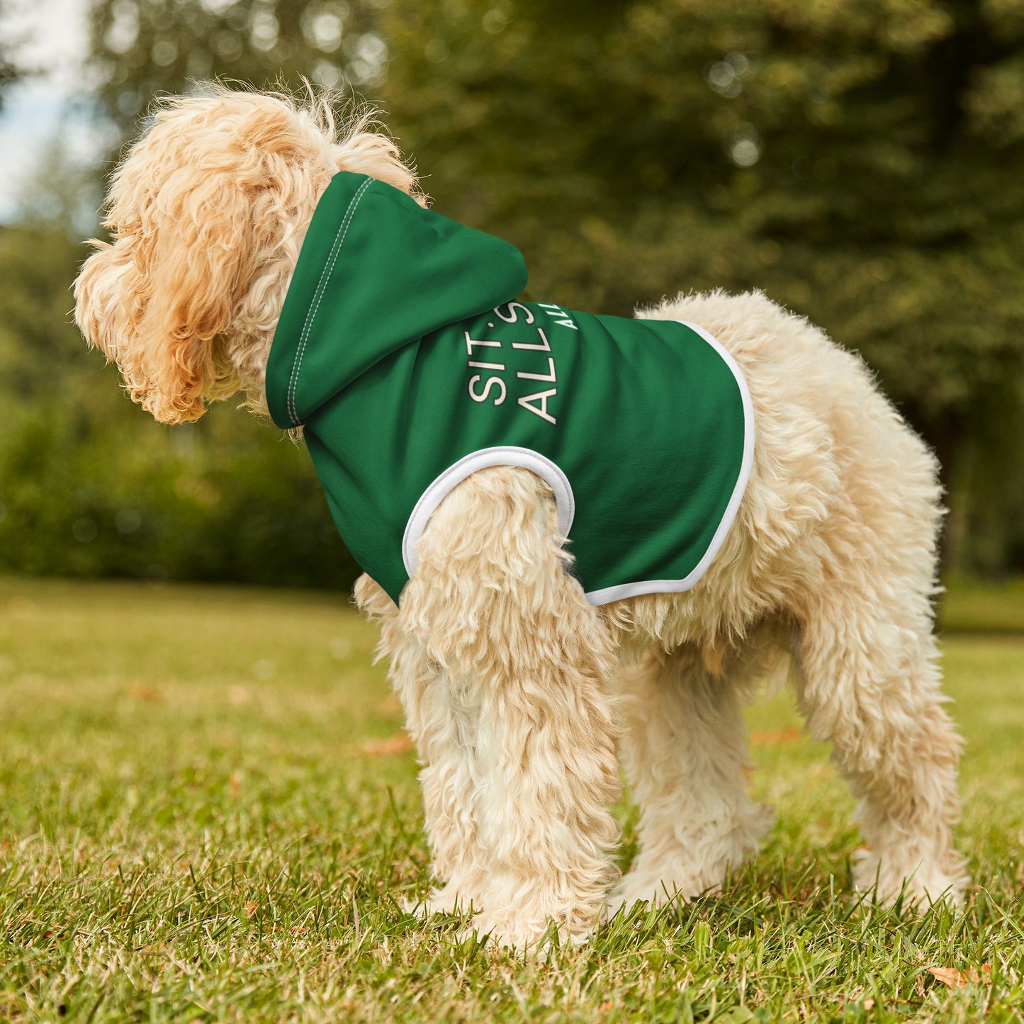 Stylish Dog Hoodie 'Sit. Stay. AllStays'